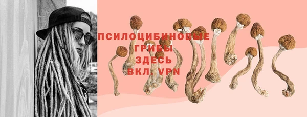 ешки Вязьма