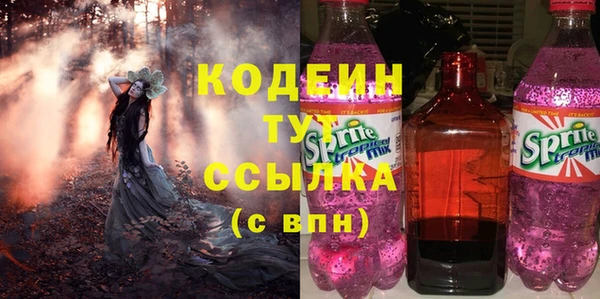 ешки Арсеньев
