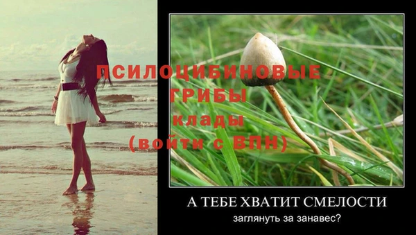 ешки Арсеньев